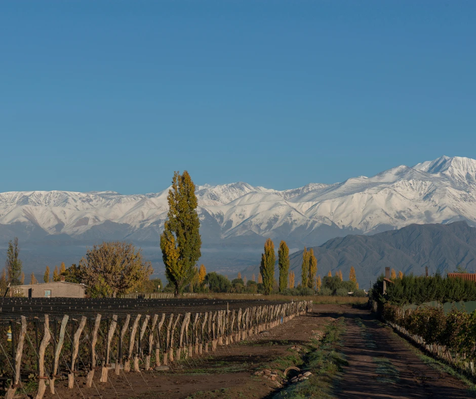Mendoza Wine Country
